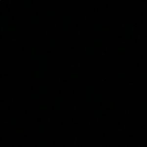 Meet your Posher, Carver